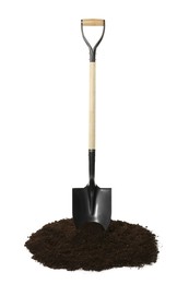 Photo of Shovel and pile of soil isolated on white