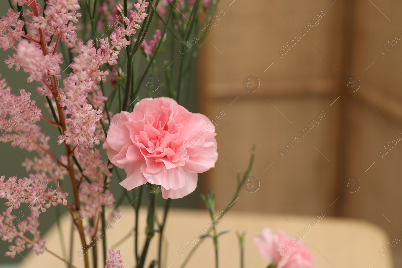 Photo of Beautiful pink flowers against blurred background, closeup. Space for text