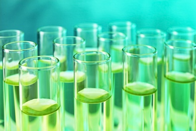 Photo of Closeup view of many test tubes with liquid, color tone effect