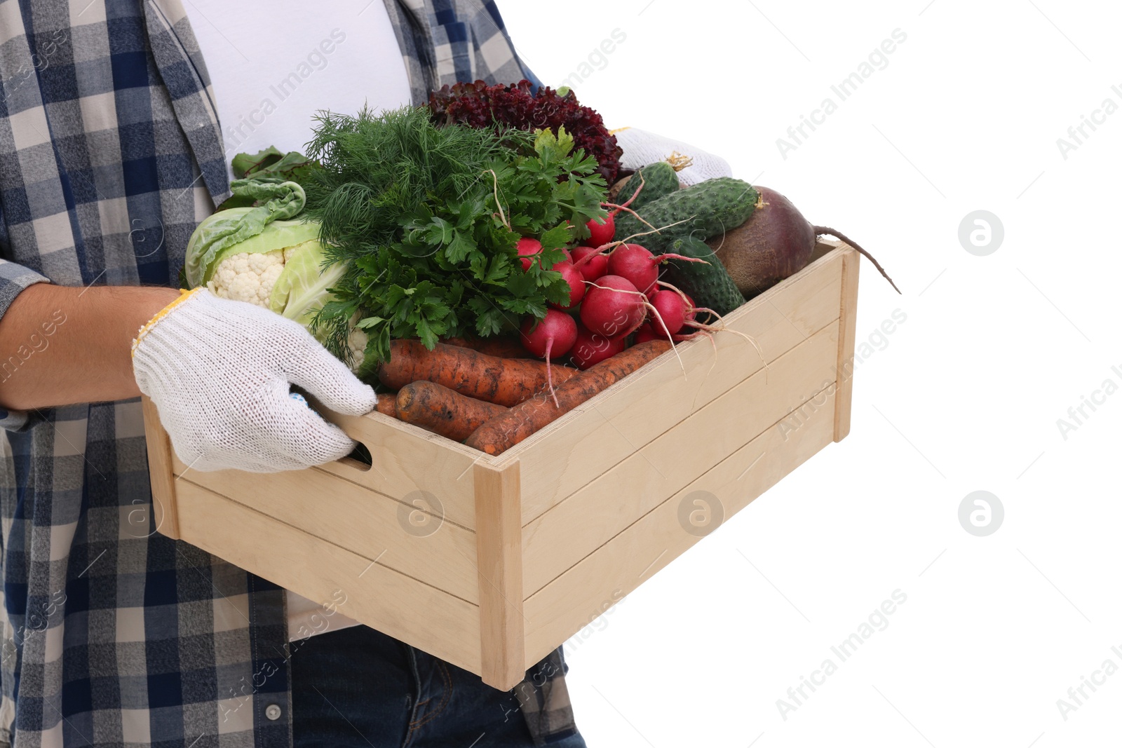 Photo of Harvesting season. Farmer holding wooden crate with vegetables on white background, closeup