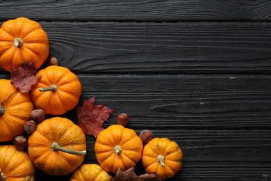 Thanksgiving day. Flat lay composition with pumpkins on black wooden table, space for text