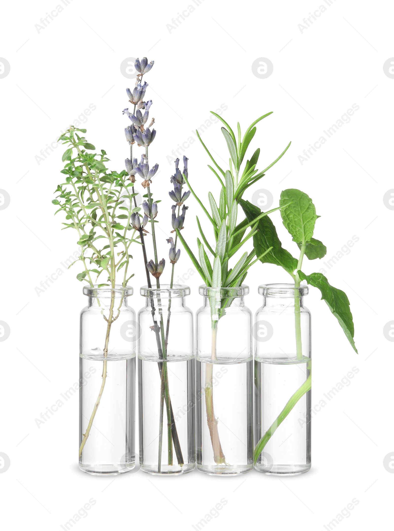 Photo of Bottles with essential oils and plants isolated on white