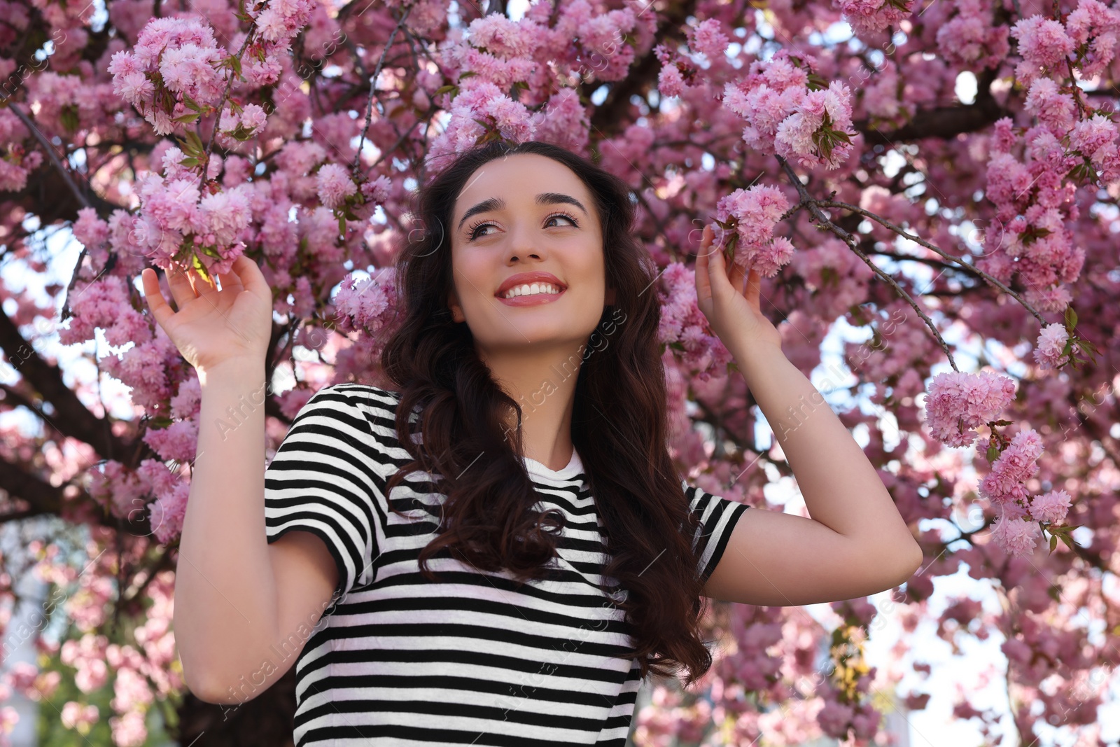 Photo of Beautiful woman near blossoming sakura tree on spring day