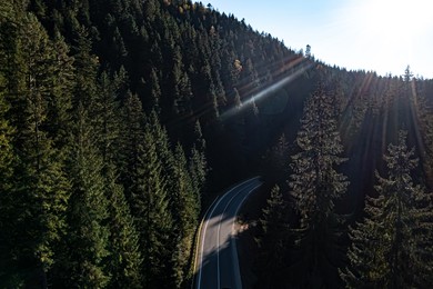 Image of Asphalt road surrounded by coniferous forest on sunny day. Drone photography
