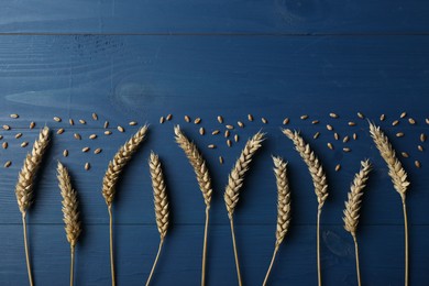 Flat lay composition with ears of wheat on blue wooden table, space for text