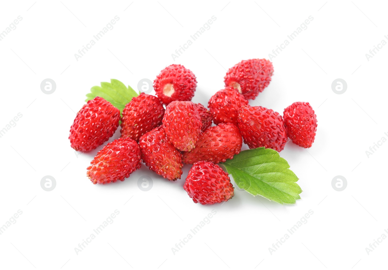 Photo of Ripe wild strawberries and green leaves isolated on white