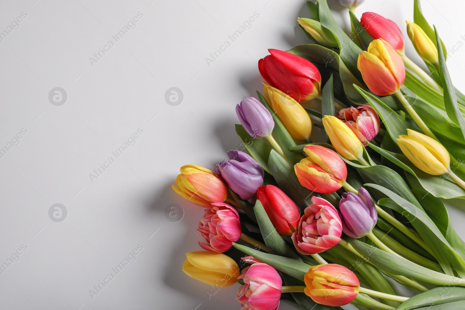 Photo of Beautiful tulips on light grey background, flat lay. Space for text