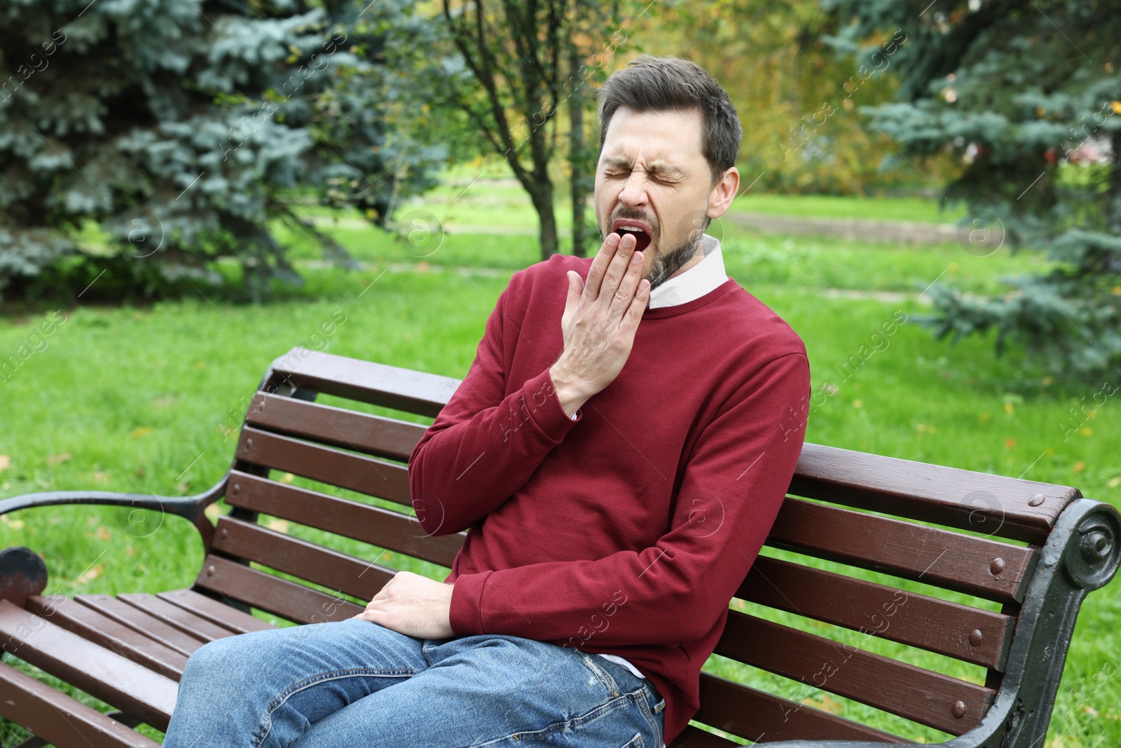 Photo of Sleepy tired man yawning on bench in beautiful green park