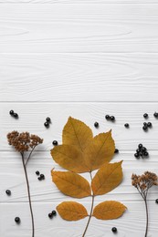 Photo of Flat lay composition with autumn leaves, dried yarrow flowers and black berries on white wooden table. Space for text