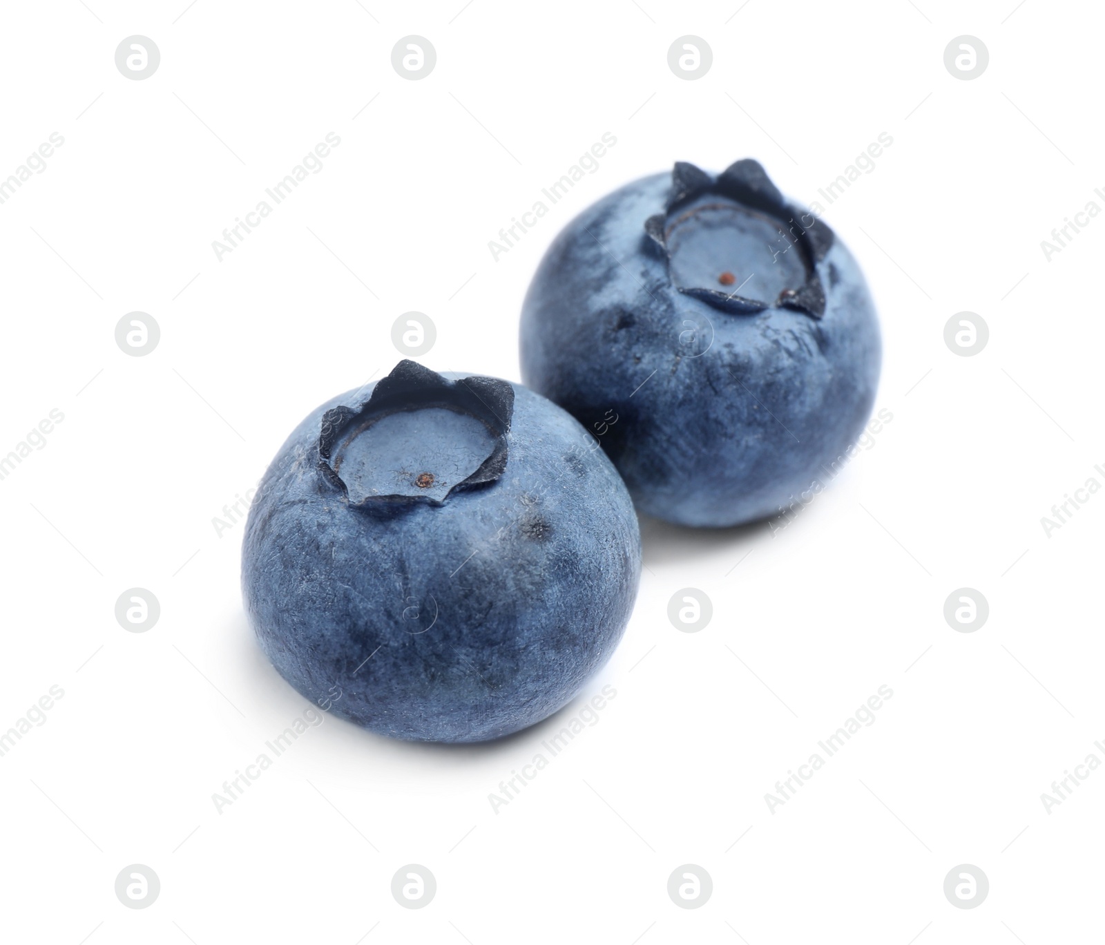 Photo of Tasty fresh ripe blueberries on white background