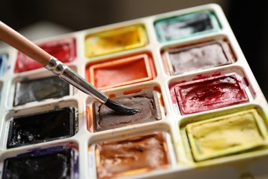 Photo of Brush and palette of watercolor paints, closeup view