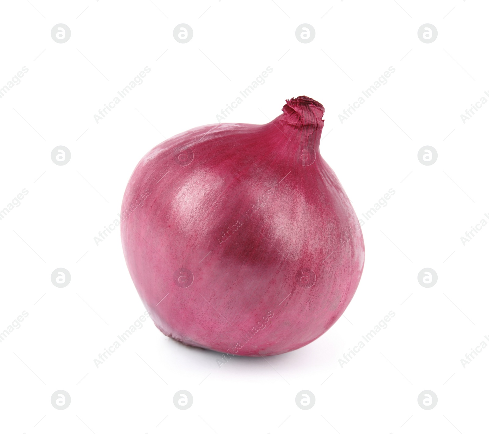 Photo of Fresh whole red onion on white background