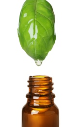 Basil leaf with drop of essential oil over bottle against white background