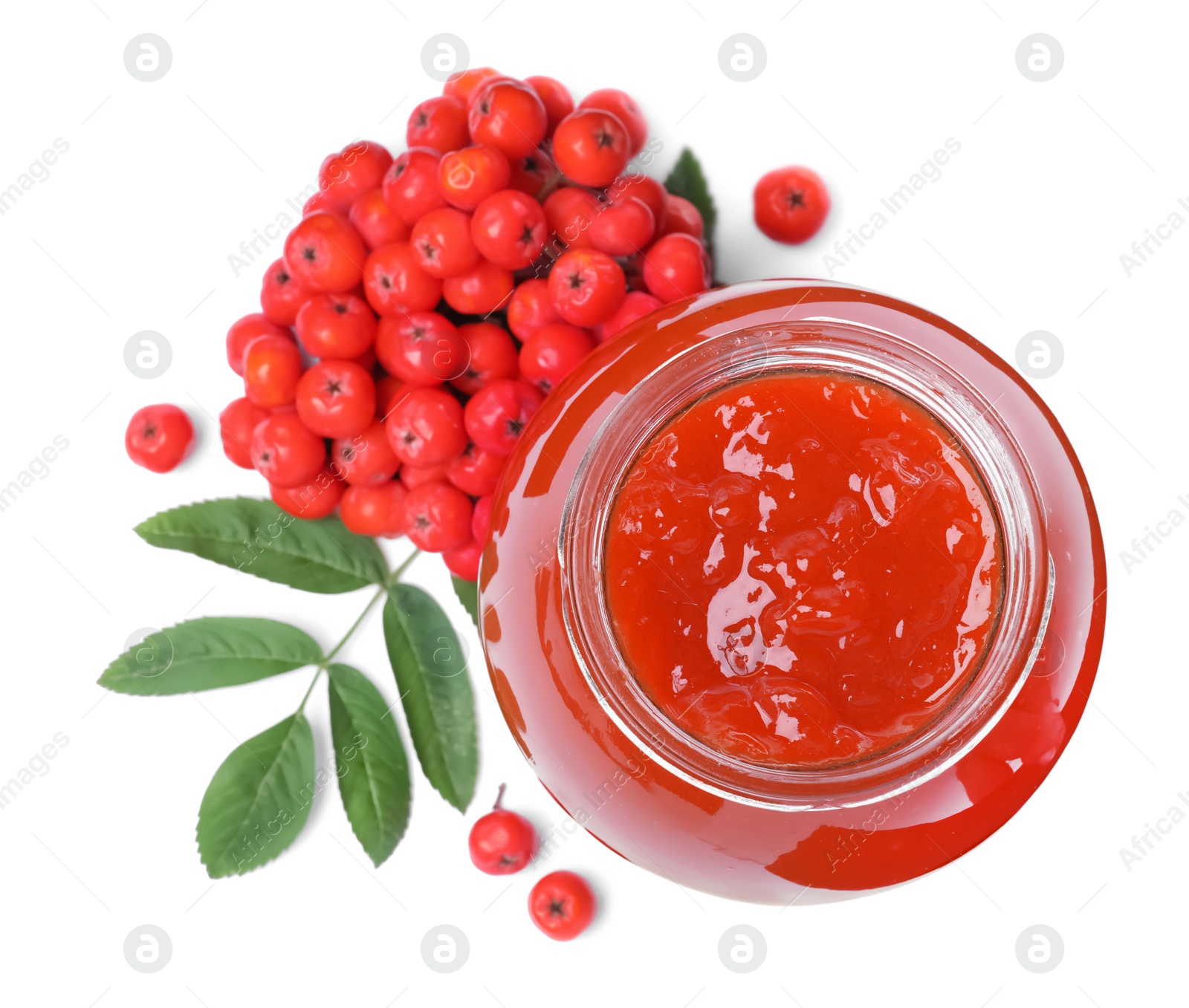 Photo of Delicious rowan jam in glass jar and berries on white background, top view