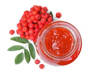 Photo of Delicious rowan jam in glass jar and berries on white background, top view