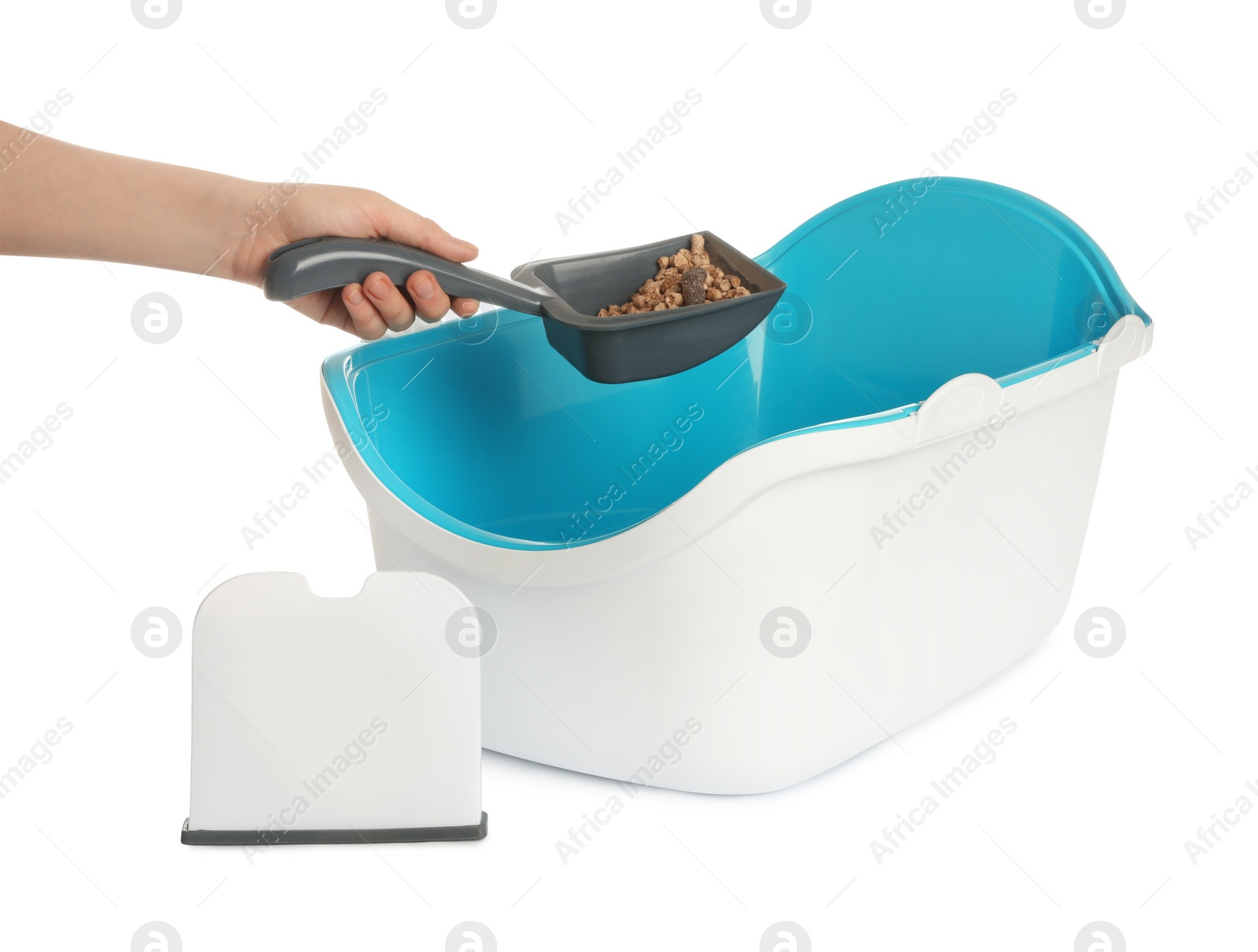 Photo of Woman cleaning cat litter tray on white background, closeup