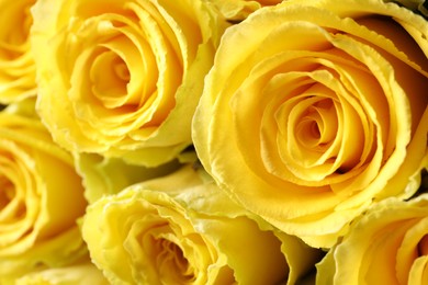 Beautiful bouquet of yellow roses as background, closeup