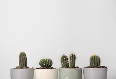 Different cacti in pots on white background, space for text