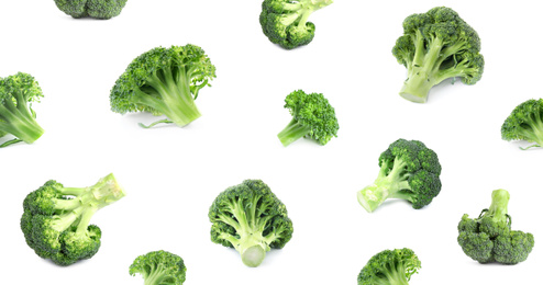 Image of Pattern of fresh green broccoli on white background, banner design