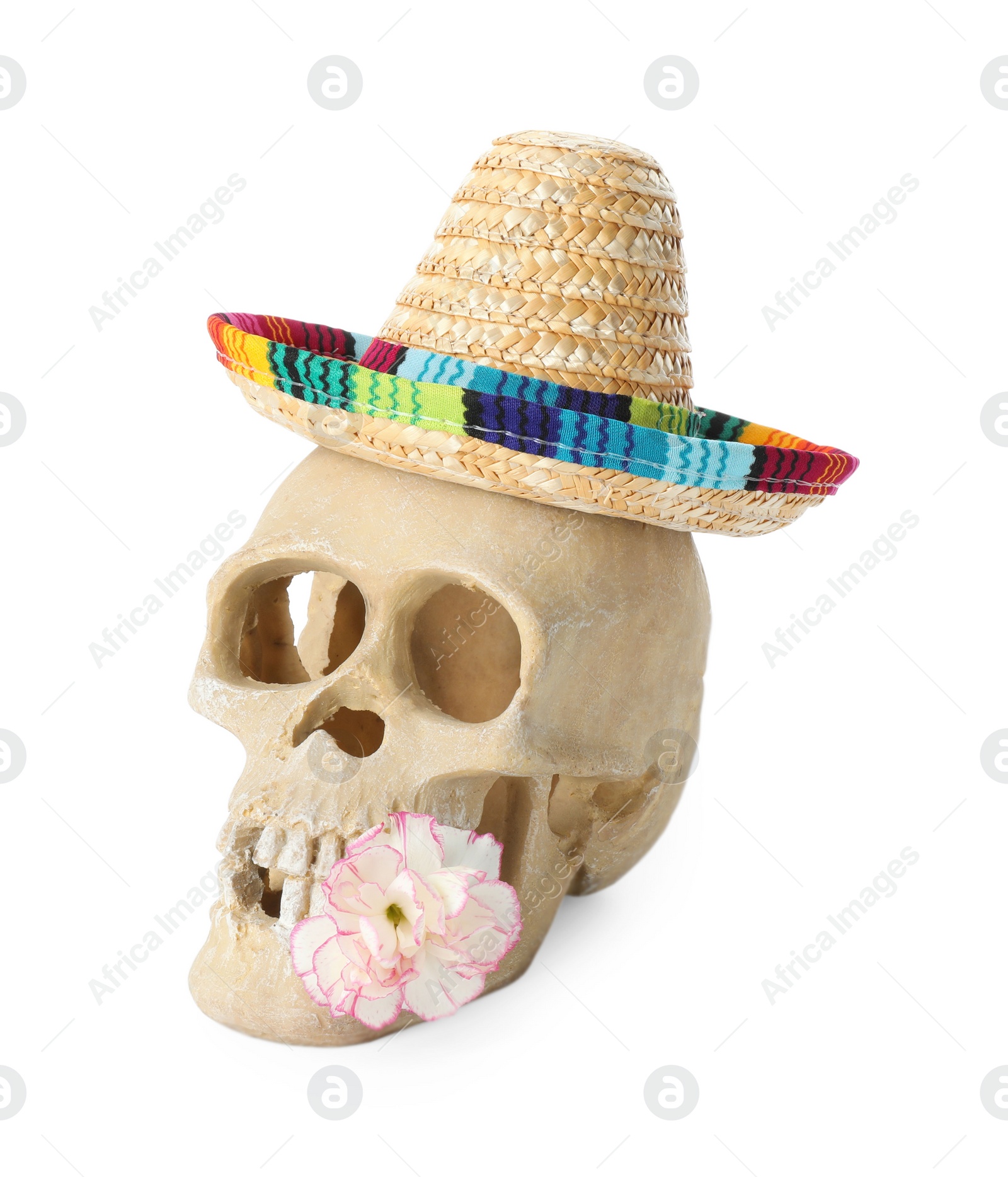 Photo of Human scull with Mexican sombrero hat and flower isolated on white
