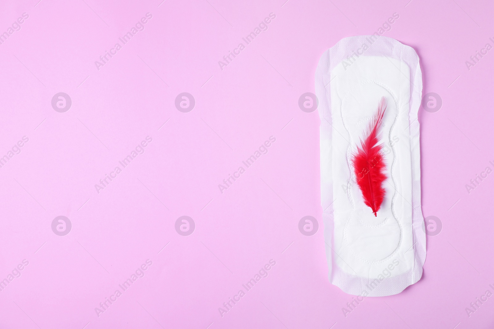 Photo of Menstrual pad and red feather on color background, top view with space for text. Gynecological care