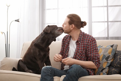 Photo of Adorable brown labrador retriever with owner on couch indoors