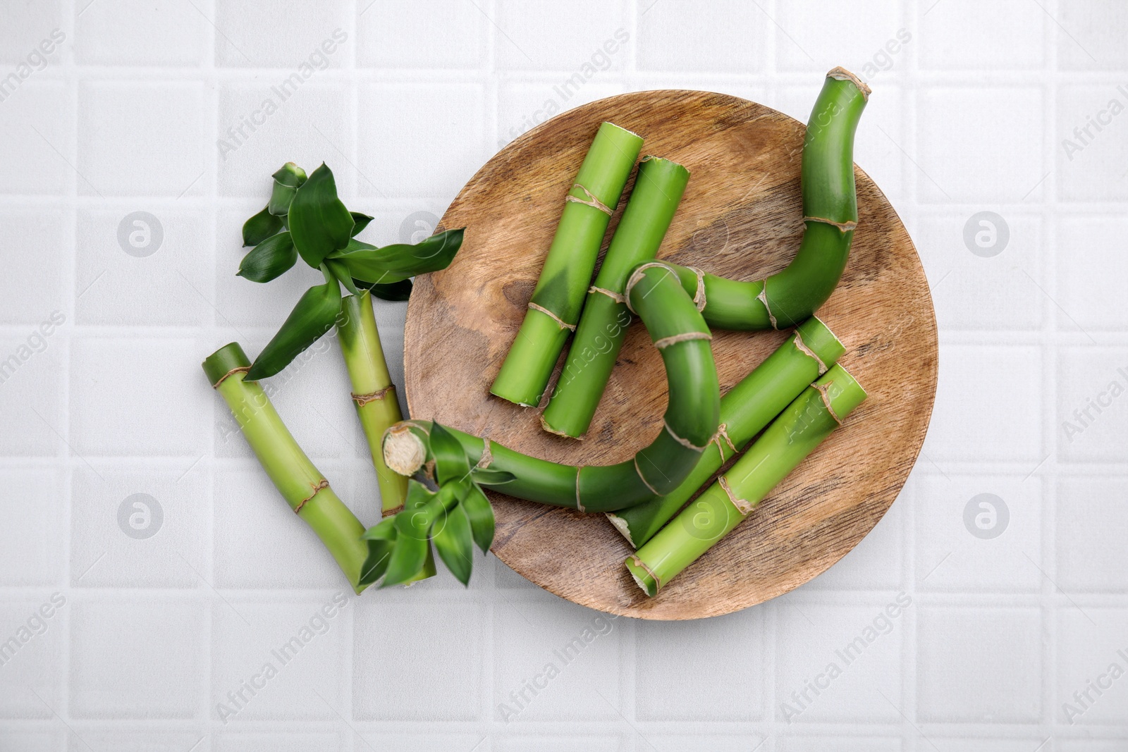 Photo of Pieces of beautiful green bamboo stems on white tiled table, flat lay