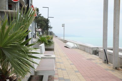 Photo of Street of resort city with palms and benches near sea