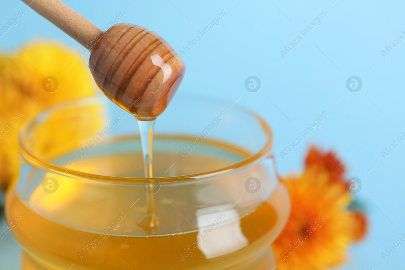 Photo of Jar of organic honey and dipper on light blue background, closeup