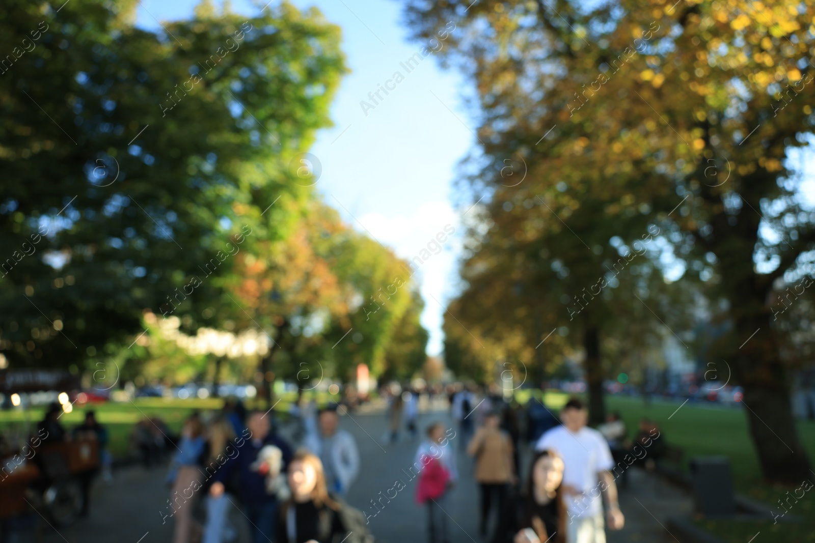 Photo of Blurred view of people walking in park on sunny day