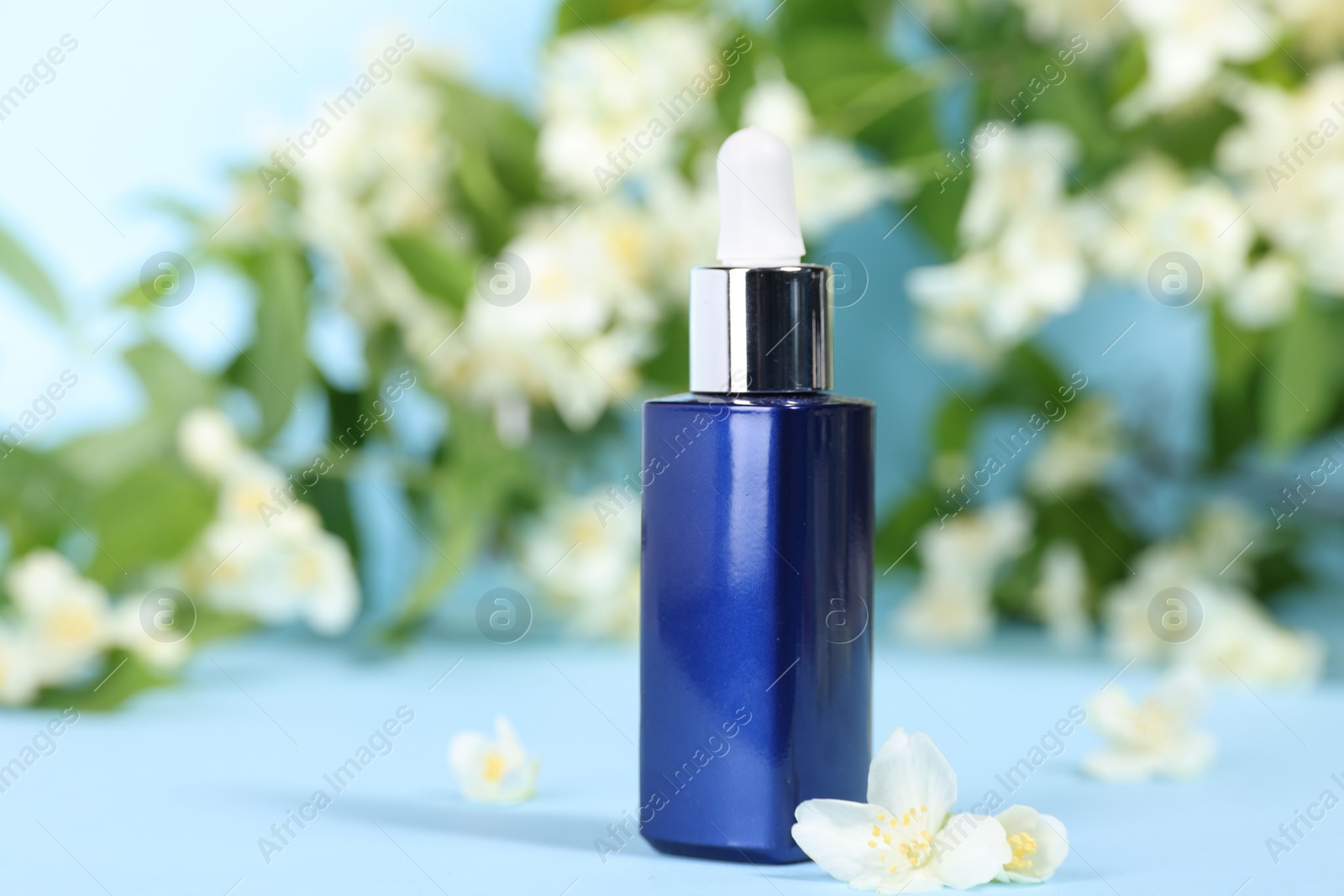 Photo of Essential oil in bottle and beautiful jasmine flowers on light blue background, closeup