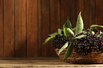 Photo of Ripe elderberries with green leaves in wicker basket on wooden table, space for text