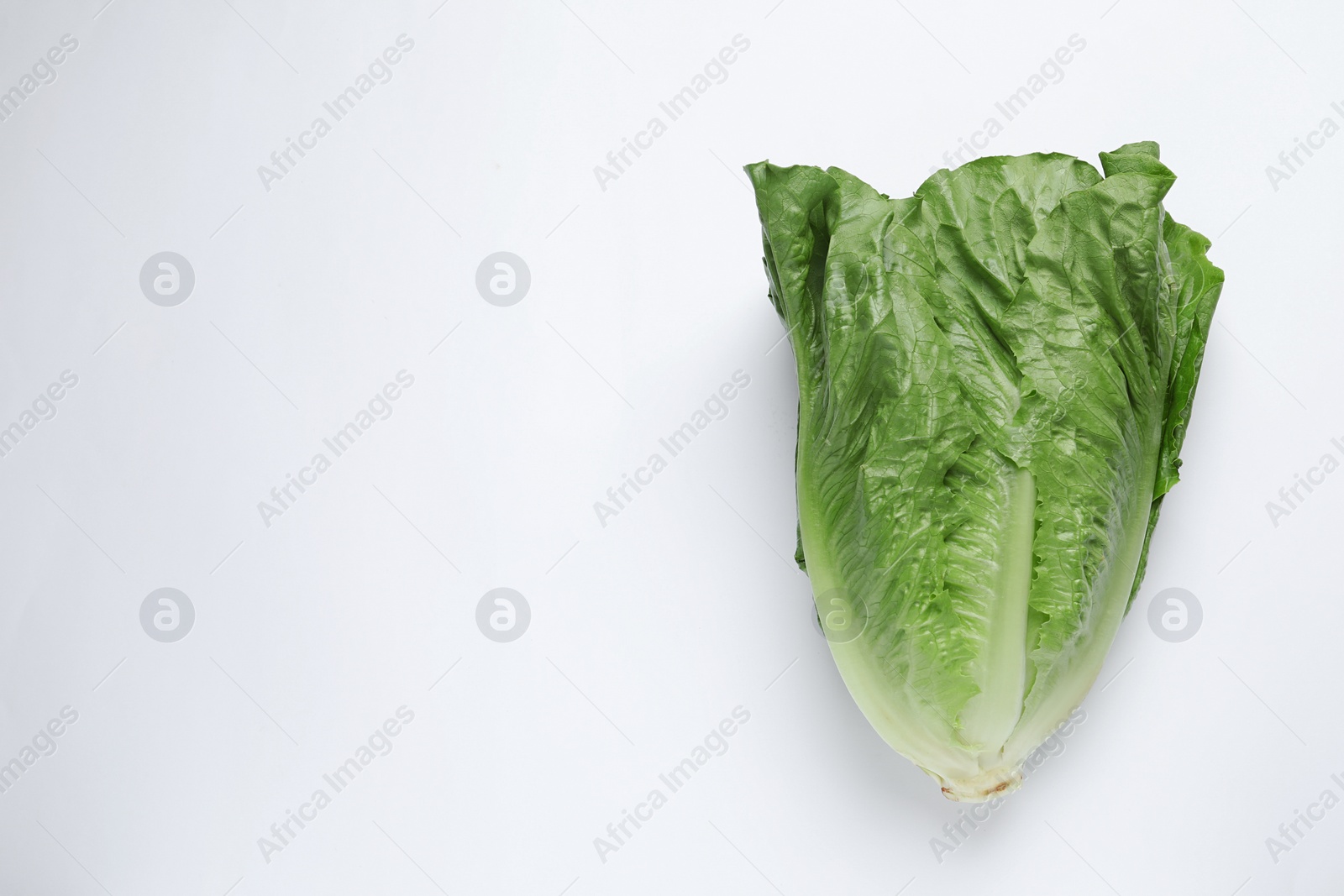 Photo of Fresh green romaine lettuce on white background, top view. Space for text