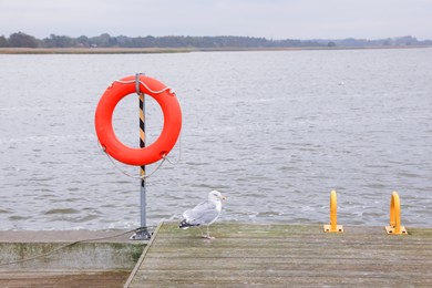 Photo of Wooden pier with lifebuoy and seagull near sea, space for text