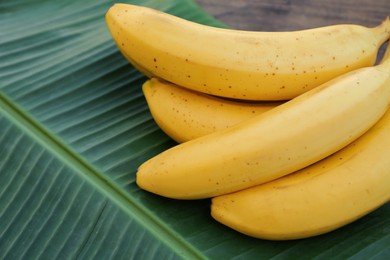 Delicious bananas and green leaf on wooden table, closeup. Space for text