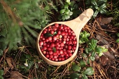 Photo of Many tasty ripe lingonberries in wooden cup outdoors, top view