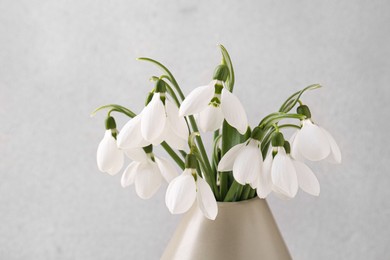 Photo of Beautiful snowdrops in vase on light grey background, closeup