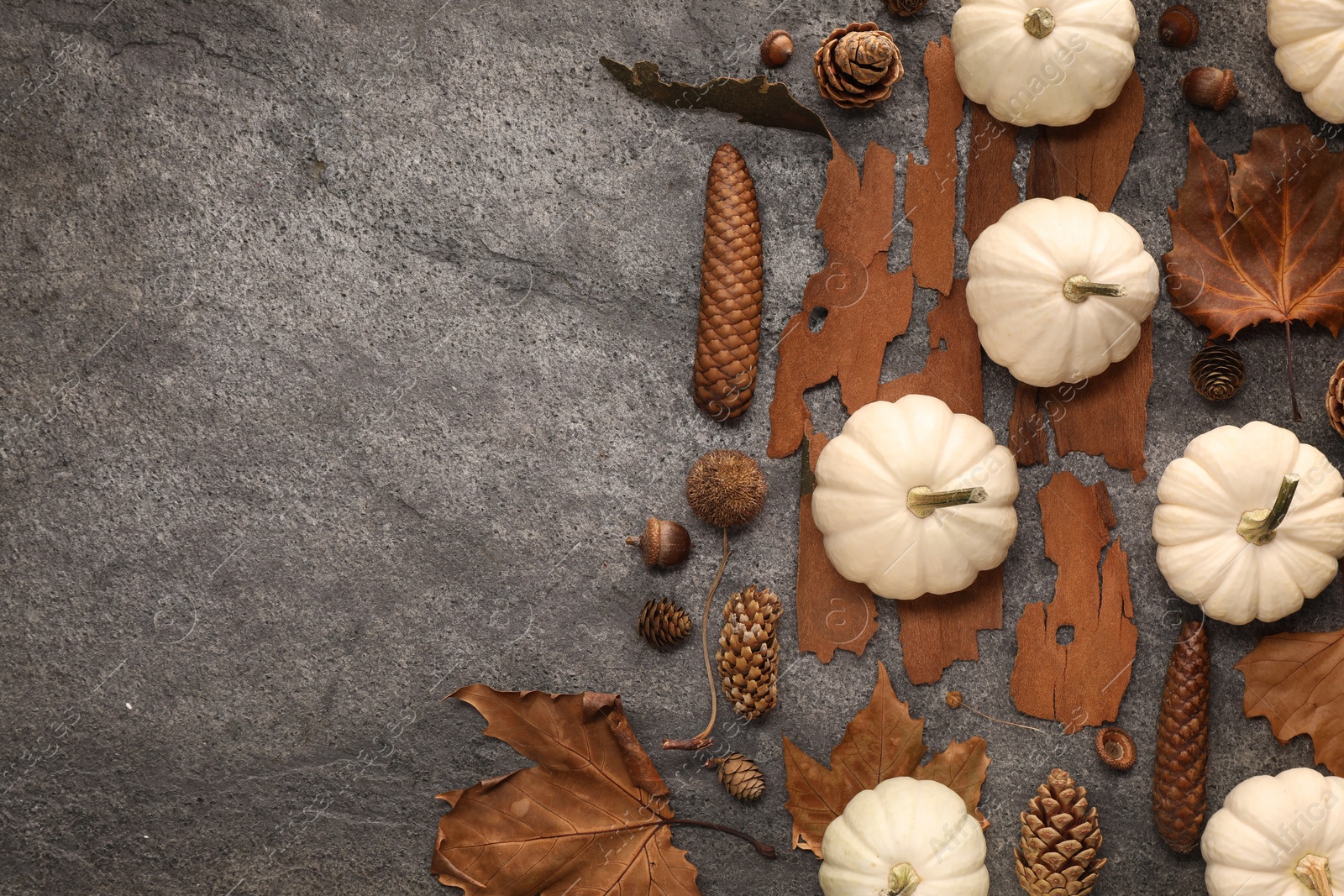 Photo of Flat lay composition with ripe pumpkins on grey textured table. Space for text