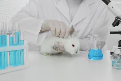 Photo of Scientist with rabbit in chemical laboratory, closeup. Animal testing