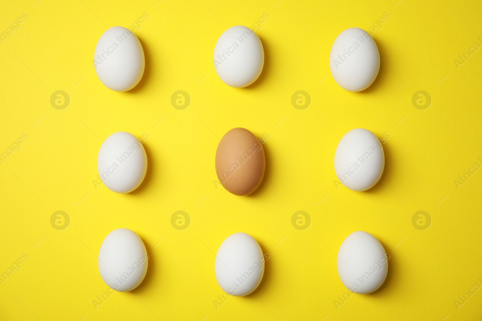 Photo of Raw chicken eggs on color background, top view