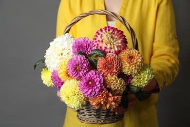 Photo of Woman with basket of beautiful dahlia flowers on grey background, closeup