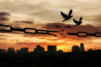 Freedom concept. Silhouettes of broken chain and birds flying outdoors at sunset