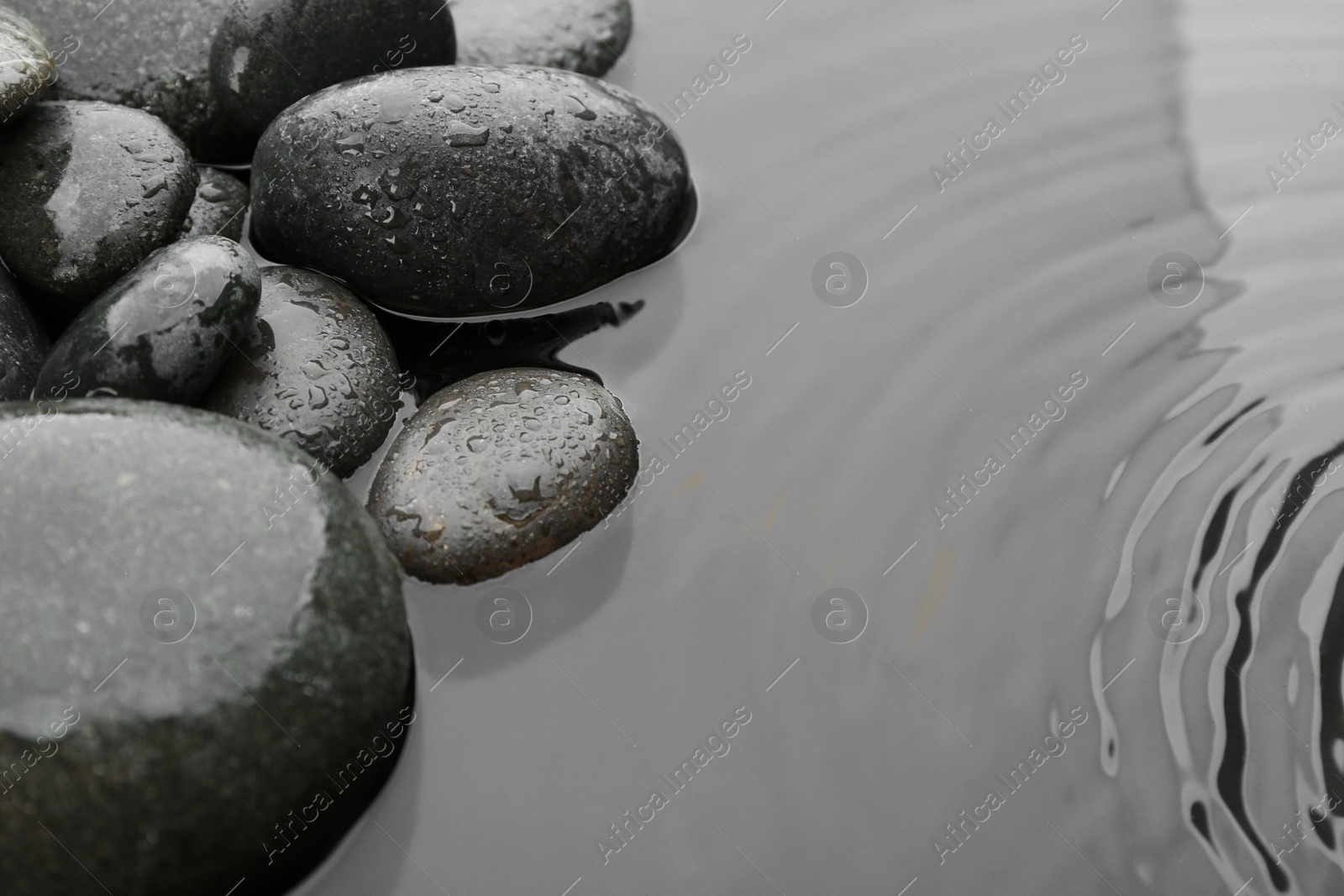 Photo of Beautiful spa stones in water, space for text. Zen lifestyle