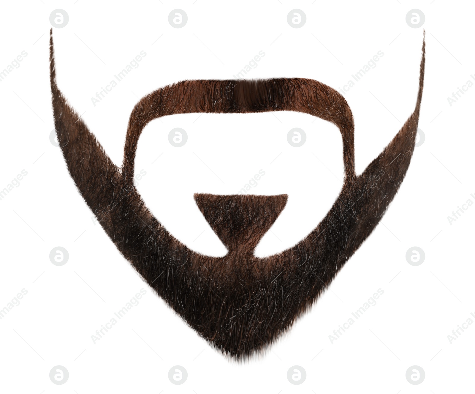 Image of Stylish beard on white background. Men's fashion