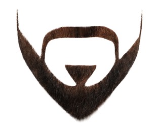 Image of Stylish beard on white background. Men's fashion