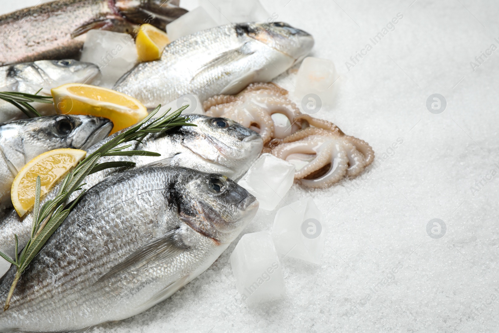 Photo of Fresh fish and seafood on ice, closeup