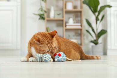 Photo of Cute ginger cat playing with toys at home