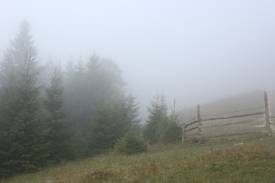 Wooden fence near forest covered with fog