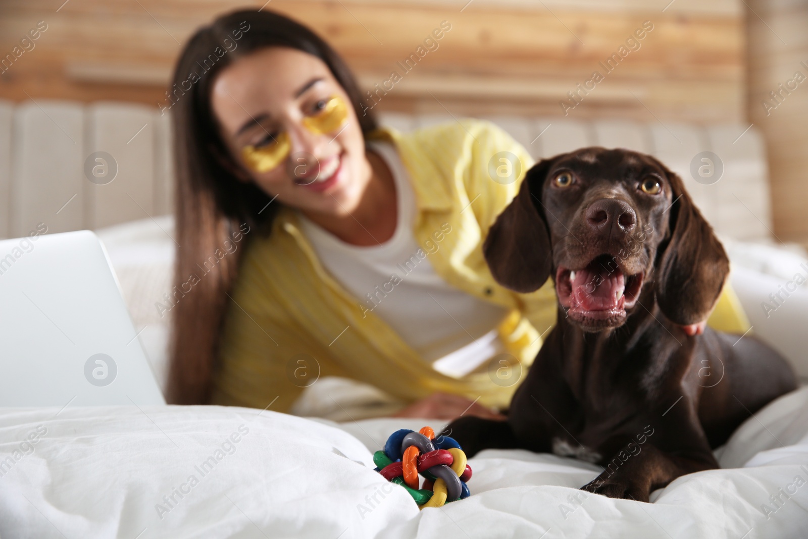 Photo of Young woman working with laptop near her dog in bedroom, focus on pet. Home office concept