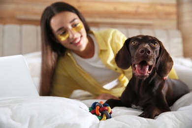 Photo of Young woman working with laptop near her dog in bedroom, focus on pet. Home office concept